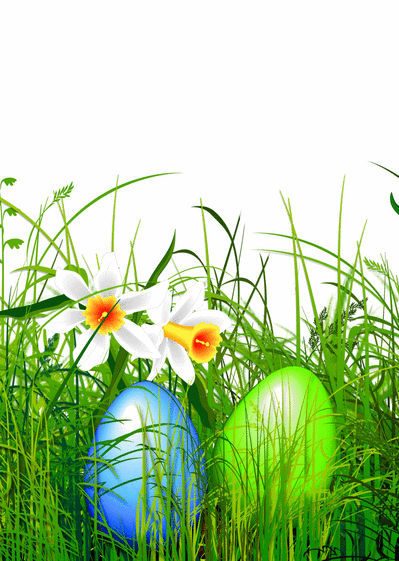 Oeufs dans l herbe